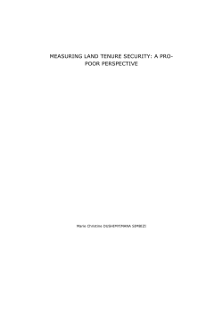 measuring land tenure security: a pro- poor perspective