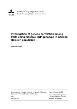 Investigation of genetic correlation among traits using massive