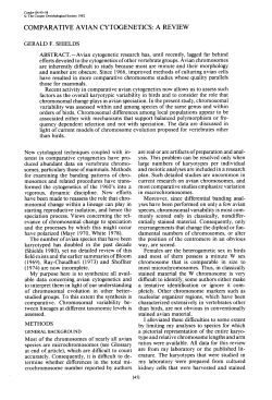 Comparative Avian Cytogenetics: A Review