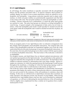 5.1.2 Lipid bilayers