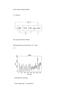 Lucilia cuprina (sheep blowfly) A. J. Nicolson Life cycle period about