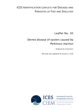 Dermo disease of oysters caused by Perkinsus marinus