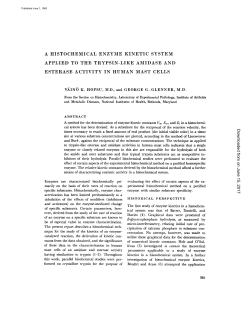 a histochemical enzyme kinetic system applied to the trypsin