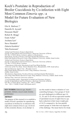 Koch`s Postulate in Reproduction of Broiler Coccidiosis by Co