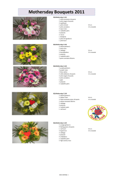 Mothersday Bouquets 2011