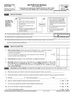 2010 Form 1040 (Schedule C-EZ)