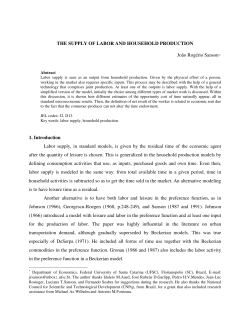 THE SUPPLY OF LABOR AND HOUSEHOLD PRODUCTION Jo&atilde;o