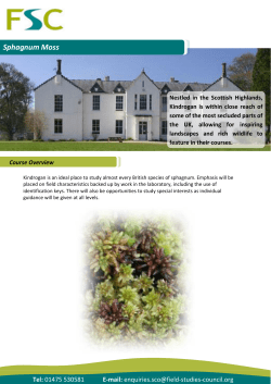 Sphagnum Moss - Field Studies Council