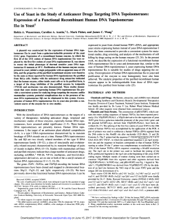Expression of a Functional Recombinant Human DNA Top