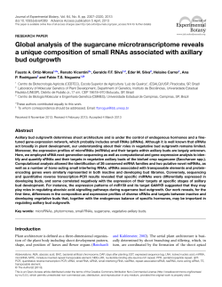 Global analysis of the sugarcane microtranscriptome reveals a