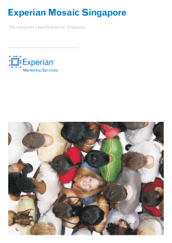 Experian Mosaic Singapore