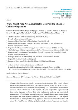 Trans-Membrane Area Asymmetry Controls the Shape of Cellular