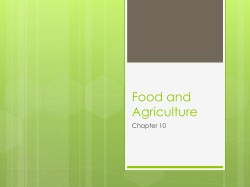 Food and Agriculture
