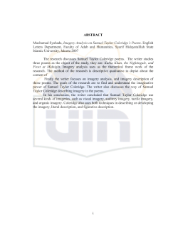 i ABSTRACT Muchamad Syuhada, Imagery