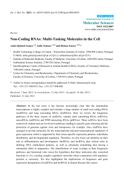 Non-Coding RNAs: Multi-Tasking Molecules in the Cell