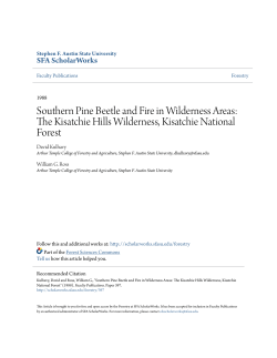 Southern Pine Beetle and Fire in Wilderness Areas