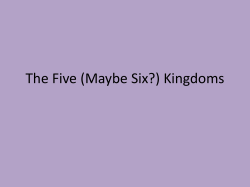 The Five (Maybe Six?) Kingdoms
