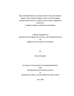 as a PDF