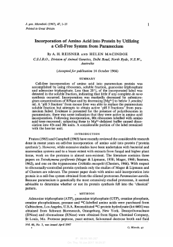 Incorporation of Amino Acid into Protein by Utilizing a