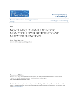 novel mechanism leading to mismatch repair