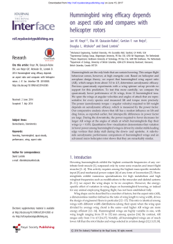 Hummingbird wing efficacy depends on aspect ratio and compares
