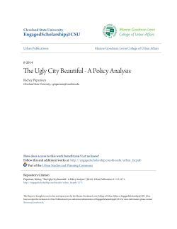 The Ugly City Beautiful - A Policy Analysis