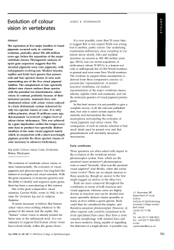 Evolution of colour vision in vertebrates