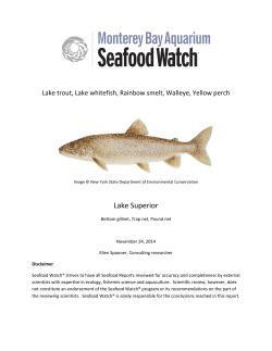Lake Superior - Seafood Watch
