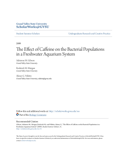 The Effect of Caffeine on the Bacterial Populations in a Freshwater
