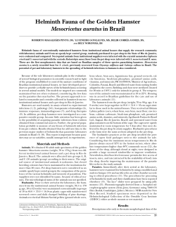 Helminth Fauna of the Golden Hamster<i