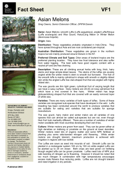 Fact Sheet VF1 Asian Melons - Department of Primary Industry and