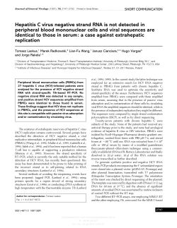 Hepatitis C virus negative strand RNA is not detected in peripheral