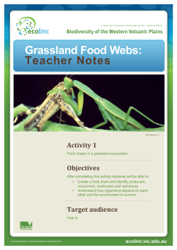 Grassland Food Webs: Teacher Notes