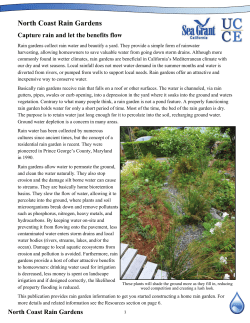 North Coast Rain Gardens