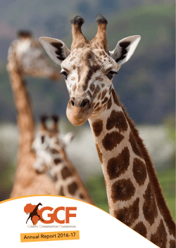 GCF Annual Report 2016/17 - Giraffe Conservation Foundation