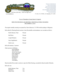 Town of Shandaken Zoning Board of Appeals MINUTES FOR