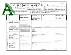 Animals - Plyter.Com