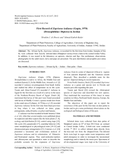 First Record of Zaprionus indianus