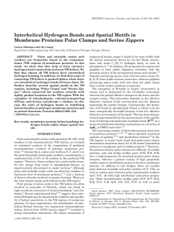 Interhelical Hydrogen Bonds and Spatial Motifs in Membrane