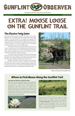 GUNFLINT Observer - Chik-Wauk Museum and Nature Center