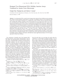 Designed Two-Dimensional DNA Holliday Junction
