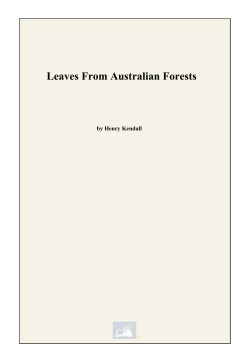 Leaves From Australian Forests