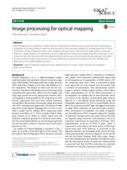 Image Processing for Optical Mapping