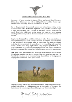 Governors(Guide(to(June(in(the(Masai(Mara