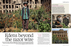 Edens beyond the razor wire