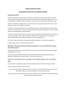 here - Plainview, Animal Clinic