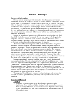 Sensation&mdash;Neurology 2