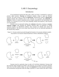 LAB 5: Enzymology