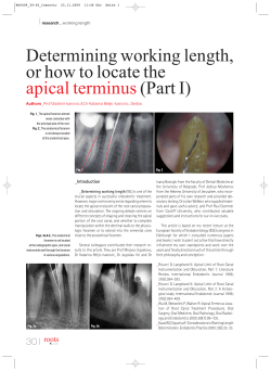 Determining working length, or how to locate the apical terminus