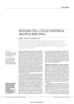 meiosis: cell-cycle controls shuffle and deal